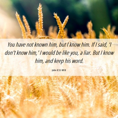 Picture 06 - John 8:55 WEB - You have not known him, but I know him. If I - Bible Verse Picture