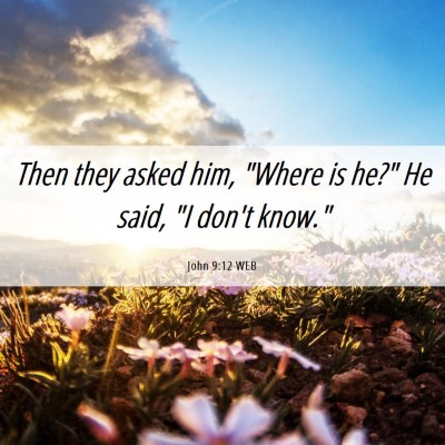Picture 06 - John 9:12 WEB - Then they asked him, 
