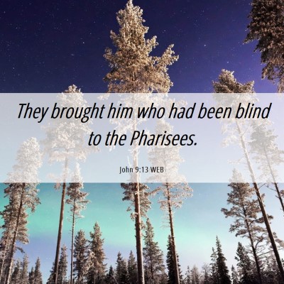 Picture 06 - John 9:13 WEB - They brought him who had been blind to the - Bible Verse Picture