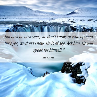 Picture 06 - John 9:21 WEB - but how he now sees, we don't know; or who opened - Bible Verse Picture