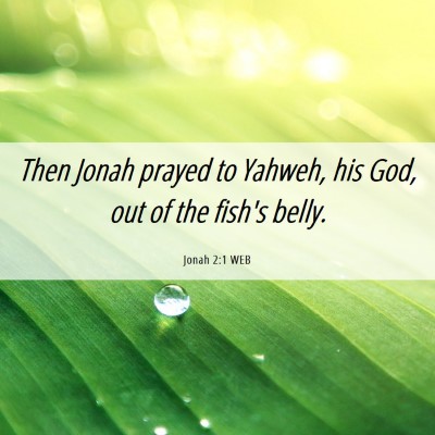 Picture 06 - Jonah 2:1 WEB - Then Jonah prayed to Yahweh, his God, out of the - Bible Verse Picture
