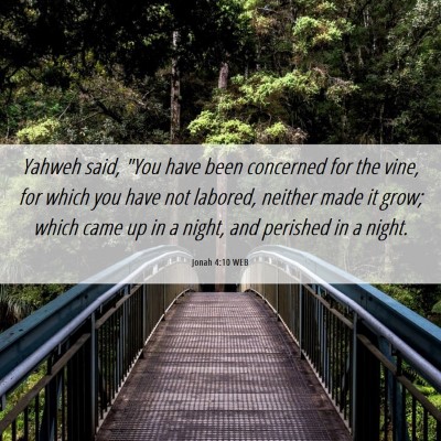 Picture 06 - Jonah 4:10 WEB - Yahweh said, 