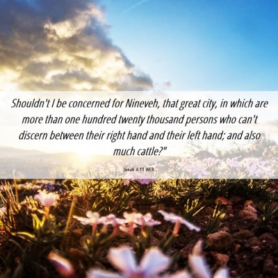 Picture 06 - Jonah 4:11 WEB - Shouldn't I be concerned for Nineveh, that great - Bible Verse Picture