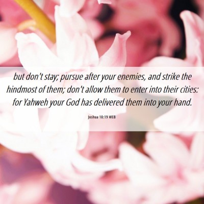 Picture 06 - Joshua 10:19 WEB - but don't stay; pursue after your enemies, and - Bible Verse Picture
