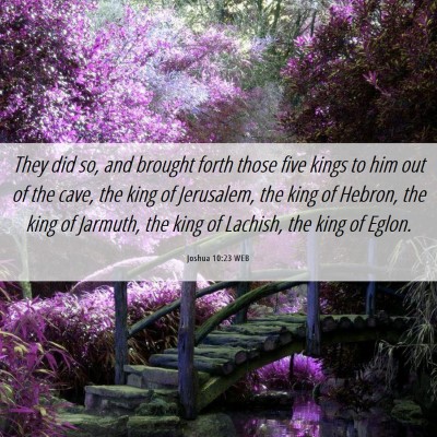 Picture 06 - Joshua 10:23 WEB - They did so, and brought forth those five kings - Bible Verse Picture