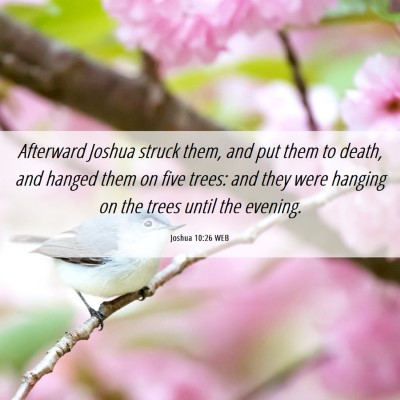 Picture 06 - Joshua 10:26 WEB - Afterward Joshua struck them, and put them to - Bible Verse Picture