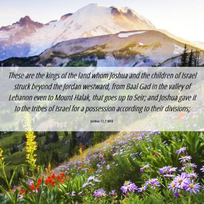 Picture 06 - Joshua 12:7 WEB - These are the kings of the land whom Joshua and - Bible Verse Picture