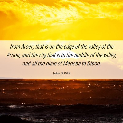 Picture 06 - Joshua 13:9 WEB - from Aroer, that is on the edge of the valley of - Bible Verse Picture