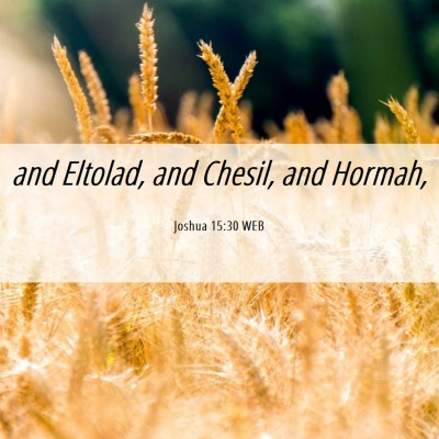 Picture 06 - Joshua 15:30 WEB - and Eltolad, and Chesil, and - Bible Verse Picture