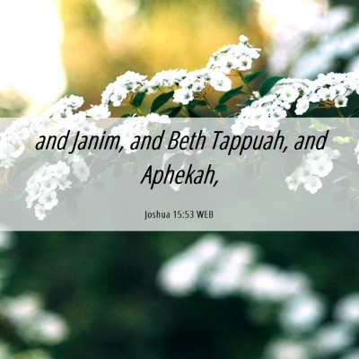 Picture 06 - Joshua 15:53 WEB - and Janim, and Beth Tappuah, and - Bible Verse Picture