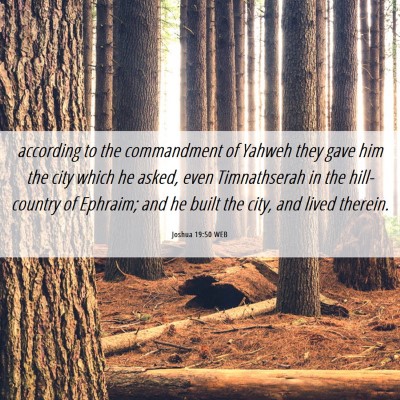 Picture 06 - Joshua 19:50 WEB - according to the commandment of Yahweh they gave - Bible Verse Picture