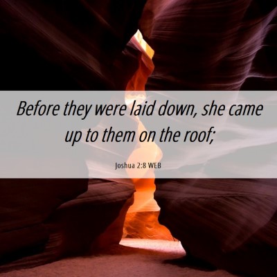 Picture 06 - Joshua 2:8 WEB - Before they were laid down, she came up to them - Bible Verse Picture