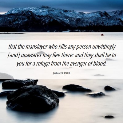 Picture 06 - Joshua 20:3 WEB - that the manslayer who kills any person - Bible Verse Picture