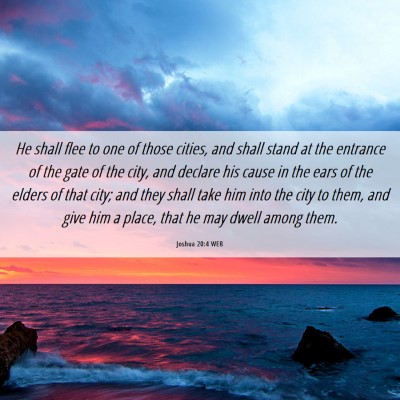 Picture 06 - Joshua 20:4 WEB - He shall flee to one of those cities, and shall - Bible Verse Picture