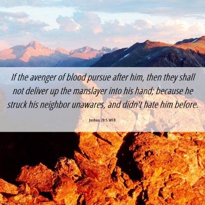 Picture 06 - Joshua 20:5 WEB - If the avenger of blood pursue after him, then - Bible Verse Picture