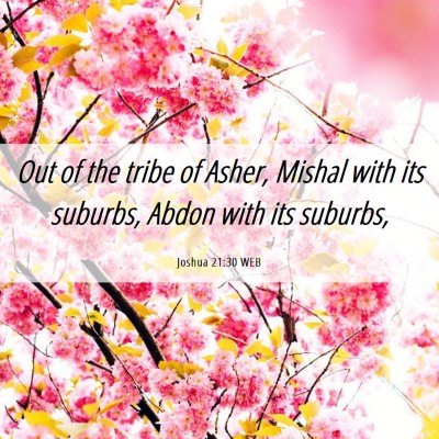 Picture 06 - Joshua 21:30 WEB - Out of the tribe of Asher, Mishal with its - Bible Verse Picture