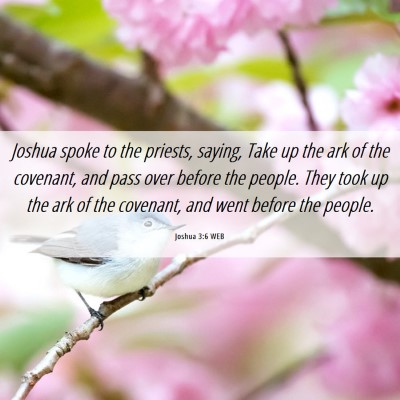 Picture 06 - Joshua 3:6 WEB - Joshua spoke to the priests, saying, Take up the - Bible Verse Picture