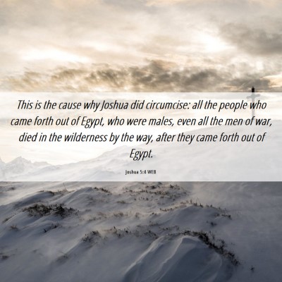 Picture 06 - Joshua 5:4 WEB - This is the cause why Joshua did circumcise: all - Bible Verse Picture