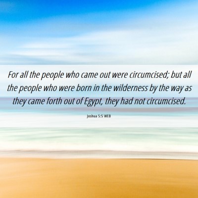 Picture 06 - Joshua 5:5 WEB - For all the people who came out were circumcised; - Bible Verse Picture