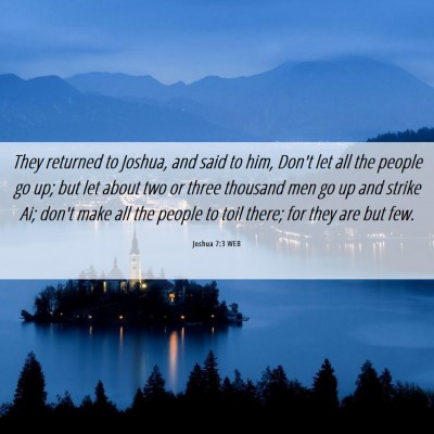 Picture 06 - Joshua 7:3 WEB - They returned to Joshua, and said to him, Don't - Bible Verse Picture