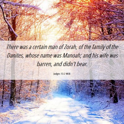 Picture 06 - Judges 13:2 WEB - There was a certain man of Zorah, of the family - Bible Verse Picture