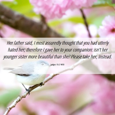 Picture 06 - Judges 15:2 WEB - Her father said, I most assuredly thought that - Bible Verse Picture
