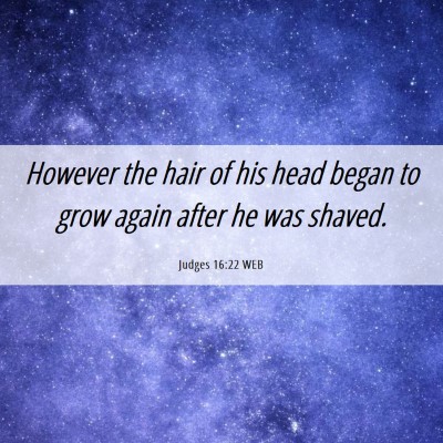 Picture 06 - Judges 16:22 WEB - However the hair of his head began to grow again - Bible Verse Picture