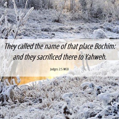 Picture 06 - Judges 2:5 WEB - They called the name of that place Bochim: and - Bible Verse Picture