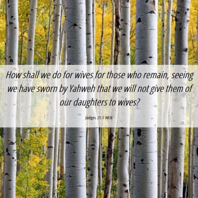 Picture 06 - Judges 21:7 WEB - How shall we do for wives for those who remain, - Bible Verse Picture
