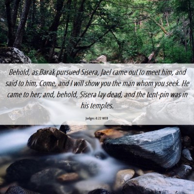 Picture 06 - Judges 4:22 WEB - Behold, as Barak pursued Sisera, Jael came out to - Bible Verse Picture