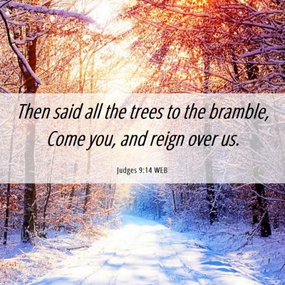 Picture 06 - Judges 9:14 WEB - Then said all the trees to the bramble, Come you, - Bible Verse Picture
