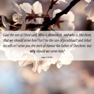 Picture 06 - Judges 9:28 WEB - Gaal the son of Ebed said, Who is Abimelech, and - Bible Verse Picture