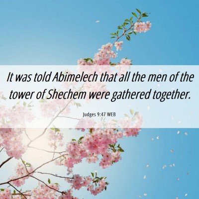 Picture 06 - Judges 9:47 WEB - It was told Abimelech that all the men of the - Bible Verse Picture