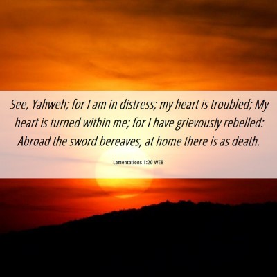 Picture 06 - Lamentations 1:20 WEB - See, Yahweh; for I am in distress; my heart is - Bible Verse Picture