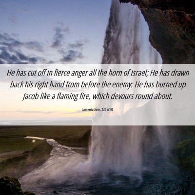 Picture 06 - Lamentations 2:3 WEB - He has cut off in fierce anger all the horn of - Bible Verse Picture