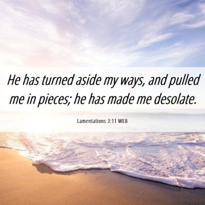 Picture 06 - Lamentations 3:11 WEB - He has turned aside my ways, and pulled me in - Bible Verse Picture