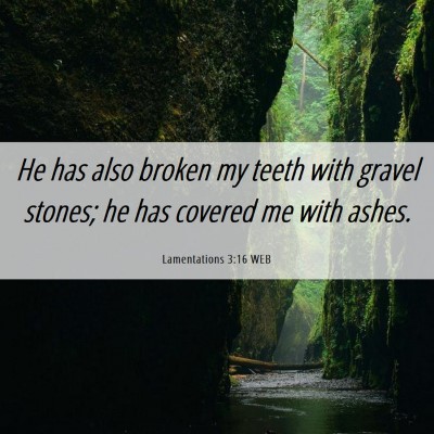 Picture 06 - Lamentations 3:16 WEB - He has also broken my teeth with gravel stones; - Bible Verse Picture