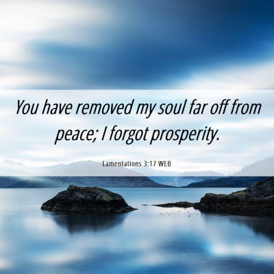 Picture 06 - Lamentations 3:17 WEB - You have removed my soul far off from peace; I - Bible Verse Picture