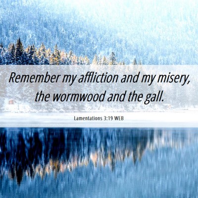 Picture 06 - Lamentations 3:19 WEB - Remember my affliction and my misery, the - Bible Verse Picture