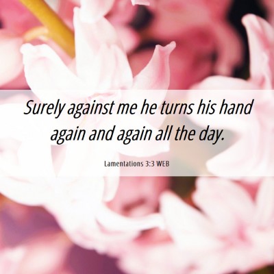 Picture 06 - Lamentations 3:3 WEB - Surely against me he turns his hand again and - Bible Verse Picture