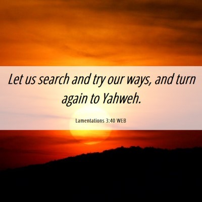 Picture 06 - Lamentations 3:40 WEB - Let us search and try our ways, and turn again to - Bible Verse Picture