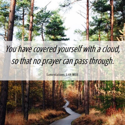 Picture 06 - Lamentations 3:44 WEB - You have covered yourself with a cloud, so that - Bible Verse Picture