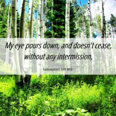 Picture 06 - Lamentations 3:49 WEB - My eye pours down, and doesn't cease, without any - Bible Verse Picture