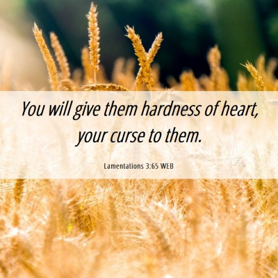 Picture 06 - Lamentations 3:65 WEB - You will give them hardness of heart, your curse - Bible Verse Picture