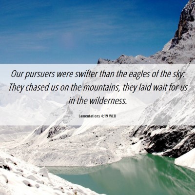 Picture 06 - Lamentations 4:19 WEB - Our pursuers were swifter than the eagles of the - Bible Verse Picture