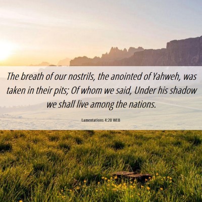 Picture 06 - Lamentations 4:20 WEB - The breath of our nostrils, the anointed of - Bible Verse Picture