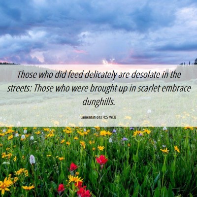 Picture 06 - Lamentations 4:5 WEB - Those who did feed delicately are desolate in the - Bible Verse Picture