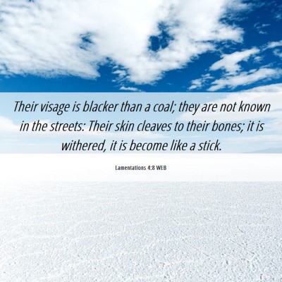 Picture 06 - Lamentations 4:8 WEB - Their visage is blacker than a coal; they are not - Bible Verse Picture