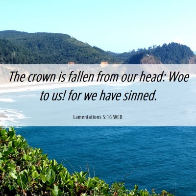 Picture 06 - Lamentations 5:16 WEB - The crown is fallen from our head: Woe to us! for - Bible Verse Picture