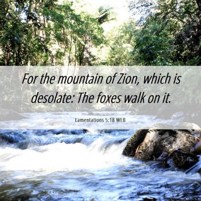 Picture 06 - Lamentations 5:18 WEB - For the mountain of Zion, which is desolate: The - Bible Verse Picture